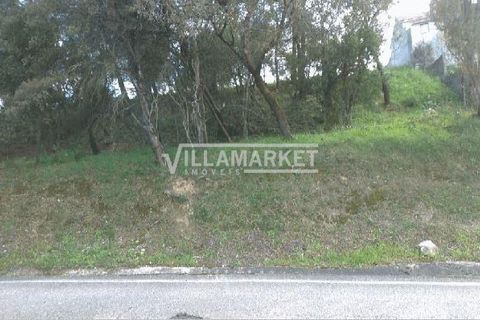 Helårsgrund i Tomar, Santarem, Tomar - € 105.000 | Ref: JFCGD-02025386CA - foto 7