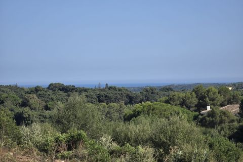 Tomt i Sotogrande, Cadiz - foto 1