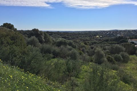 Tomt i Sotogrande, Cadiz - foto 3