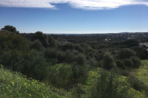 Terra a Sotogrande, Cadiz, Sotogrande - € 850.000 | Ref: 428-01185P - foto 6