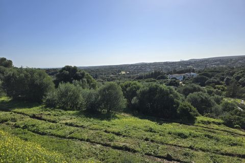 Terra a Sotogrande, Cadiz, Sotogrande - € 850.000 | Ref: 428-01185P - foto 27