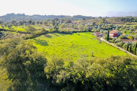 Helårsgrund i Tomar, Santarem, Tomar - € 140.000 | Ref: VCP025/23 - foto 4
