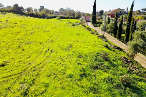 Helårsgrund i Tomar, Santarem, Tomar - € 140.000 | Ref: VCP025/23 - foto 5