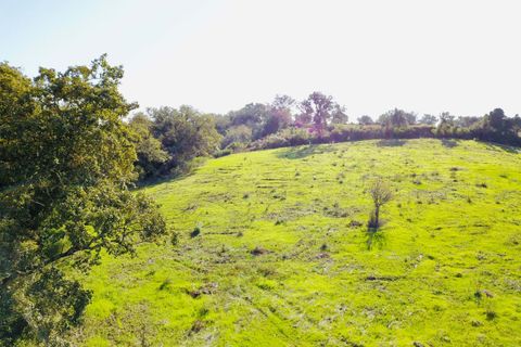 Helårsgrund i Tomar, Santarem, Tomar - € 140.000 | Ref: VCP025/23 - foto 6