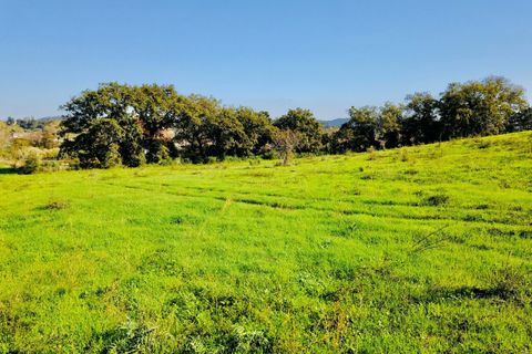 Helårsgrund i Tomar, Santarem, Tomar - € 140.000 | Ref: VCP025/23 - foto 7