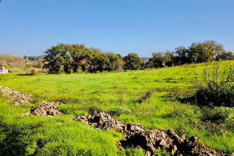 Helårsgrund i Tomar, Santarem, Tomar - € 140.000 | Ref: VCP025/23 - foto 8