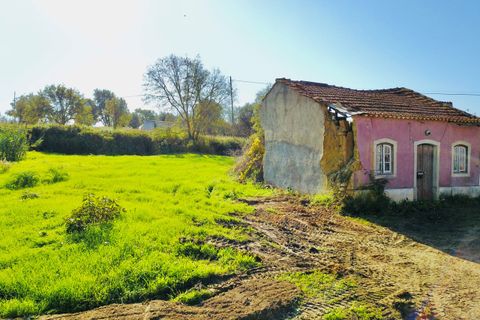 Helårsgrund i Tomar, Santarem, Tomar - € 140.000 | Ref: VCP025/23 - foto 10