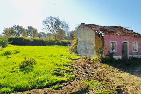 Helårsgrund i Tomar, Santarem, Tomar - € 140.000 | Ref: VCP025/23 - foto 11