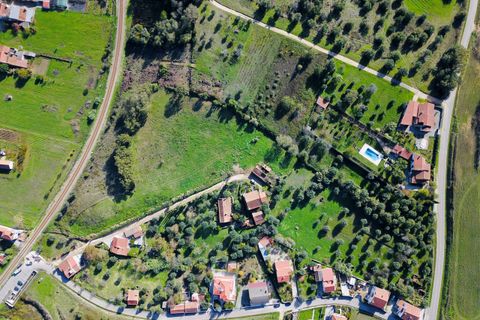 Helårsgrund i Tomar, Santarem, Tomar - € 140.000 | Ref: VCP025/23 - foto 12