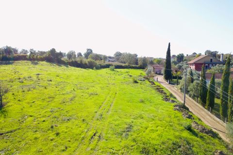 Helårsgrund i Tomar, Santarem, Tomar - € 140.000 | Ref: VCP025/23 - foto 13