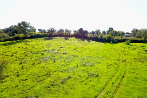 Helårsgrund i Tomar, Santarem, Tomar - € 140.000 | Ref: VCP025/23 - foto 14