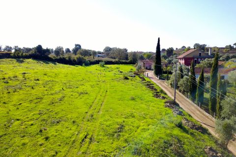 Helårsgrund i Tomar, Santarem, Tomar - € 140.000 | Ref: VCP025/23 - foto 16