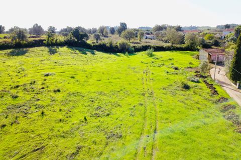 Helårsgrund i Tomar, Santarem, Tomar - € 140.000 | Ref: VCP025/23 - foto 17