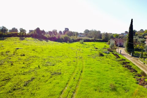 Helårsgrund i Tomar, Santarem, Tomar - € 140.000 | Ref: VCP025/23 - foto 19