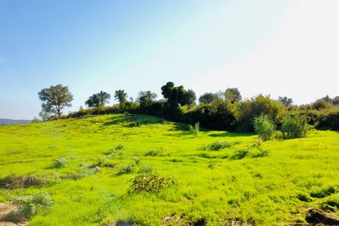 Helårsgrund i Tomar, Santarem, Tomar - € 140.000 | Ref: VCP025/23 - foto 20