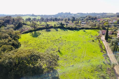 Helårsgrund i Tomar, Santarem, Tomar - € 140.000 | Ref: VCP025/23 - foto 22