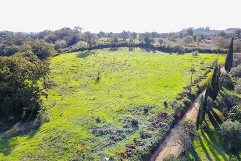 Helårsgrund i Tomar, Santarem, Tomar - € 140.000 | Ref: VCP025/23 - foto 23