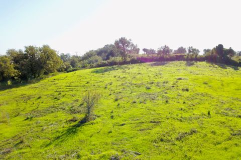 Helårsgrund i Tomar, Santarem, Tomar - € 140.000 | Ref: VCP025/23 - foto 24