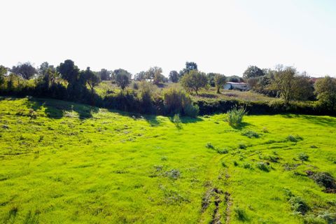Helårsgrund i Tomar, Santarem, Tomar - € 140.000 | Ref: VCP025/23 - foto 26