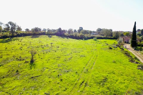 Helårsgrund i Tomar, Santarem, Tomar - € 140.000 | Ref: VCP025/23 - foto 28