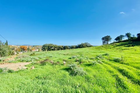 Helårsgrund i Tomar, Santarem, Tomar - € 140.000 | Ref: VCP025/23 - foto 31