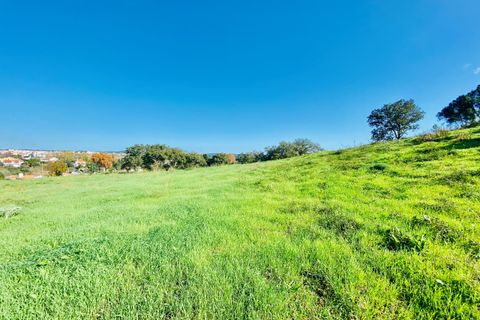 Helårsgrund i Tomar, Santarem, Tomar - € 140.000 | Ref: VCP025/23 - foto 32