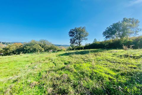Helårsgrund i Tomar, Santarem, Tomar - € 140.000 | Ref: VCP025/23 - foto 33