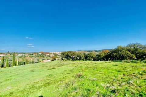 Helårsgrund i Tomar, Santarem, Tomar - € 140.000 | Ref: VCP025/23 - foto 34