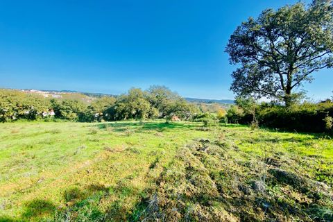 Helårsgrund i Tomar, Santarem, Tomar - € 140.000 | Ref: VCP025/23 - foto 36