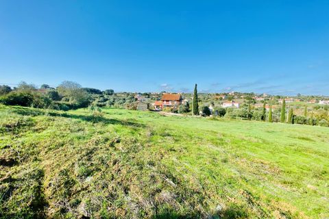 Helårsgrund i Tomar, Santarem, Tomar - € 140.000 | Ref: VCP025/23 - foto 37