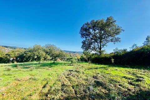 Helårsgrund i Tomar, Santarem, Tomar - € 140.000 | Ref: VCP025/23 - foto 38