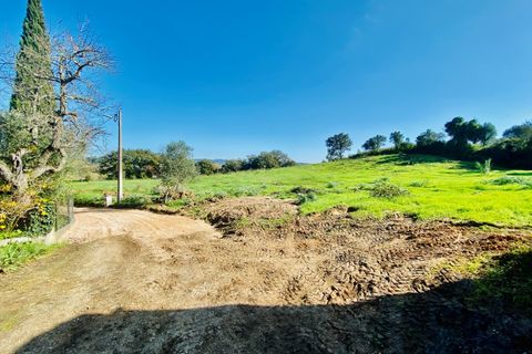 Helårsgrund i Tomar, Santarem, Tomar - € 140.000 | Ref: VCP025/23 - foto 39