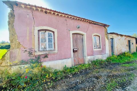 Helårsgrund i Tomar, Santarem, Tomar - € 140.000 | Ref: VCP025/23 - foto 40