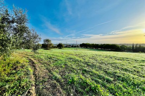 Helårsgrund i Tomar, Santarem, Tomar - € 70.000 | Ref: VCP029/23 - foto 2