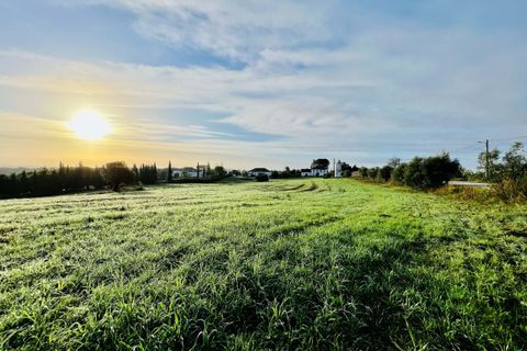 Helårsgrund i Tomar, Santarem, Tomar - € 70.000 | Ref: VCP029/23 - foto 4