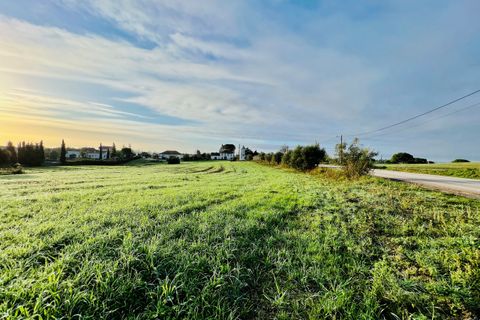 Helårsgrund i Tomar, Santarem, Tomar - € 70.000 | Ref: VCP029/23 - foto 5