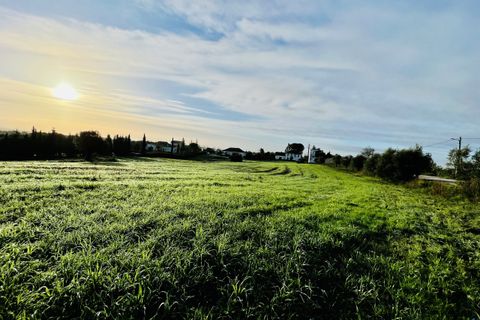 Helårsgrund i Tomar, Santarem, Tomar - € 70.000 | Ref: VCP029/23 - foto 6