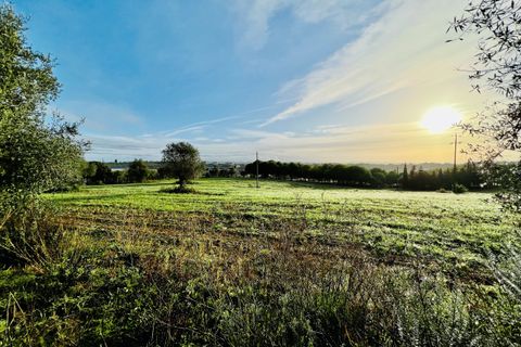 Helårsgrund i Tomar, Santarem, Tomar - € 70.000 | Ref: VCP029/23 - foto 7