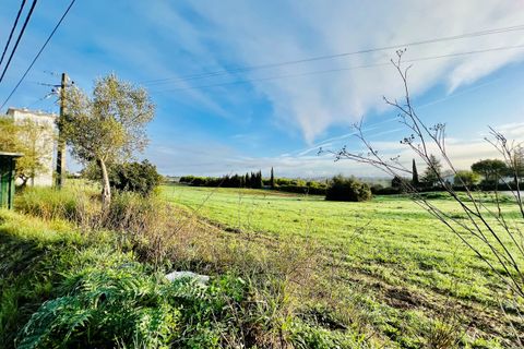 Helårsgrund i Tomar, Santarem, Tomar - € 70.000 | Ref: VCP029/23 - foto 8