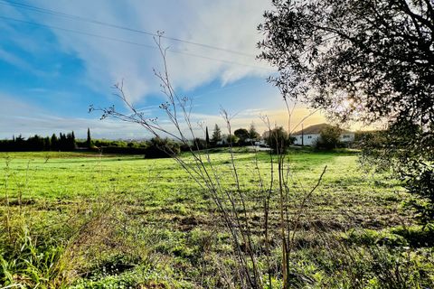 Helårsgrund i Tomar, Santarem, Tomar - € 70.000 | Ref: VCP029/23 - foto 9