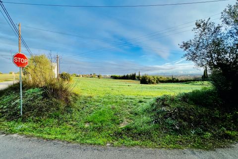 Helårsgrund i Tomar, Santarem, Tomar - € 70.000 | Ref: VCP029/23 - foto 10