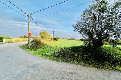 Helårsgrund i Tomar, Santarem, Tomar - € 70.000 | Ref: VCP029/23 - foto 11