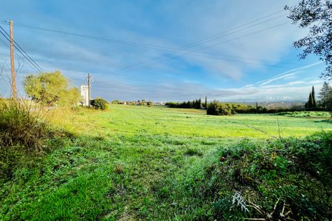 Helårsgrund i Tomar, Santarem, Tomar - € 70.000 | Ref: VCP029/23 - foto 12