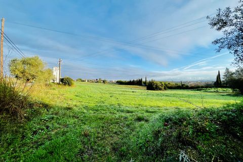 Helårsgrund i Tomar, Santarem, Tomar - € 70.000 | Ref: VCP029/23 - foto 13