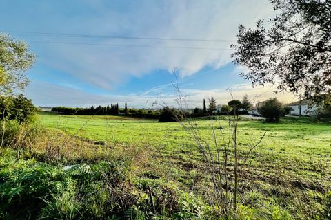 Helårsgrund i Tomar, Santarem, Tomar - € 70.000 | Ref: VCP029/23 - foto 14