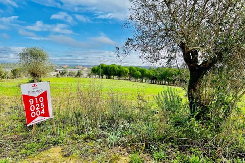 Helårsgrund i Tomar, Santarem, Tomar - € 70.000 | Ref: VCP029/23 - foto 16