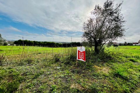 Helårsgrund i Tomar, Santarem, Tomar - € 70.000 | Ref: VCP029/23 - foto 17