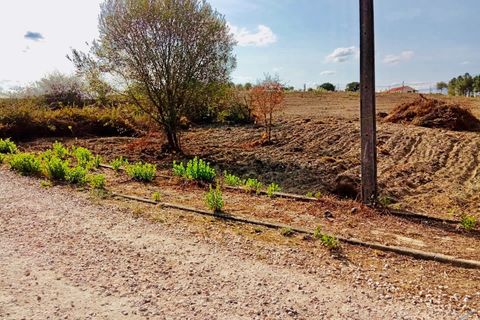 Helårsgrund i Tomar, Santarem, Tomar - € 18.000 | Ref: VCP064/23 - foto 2