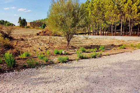 Helårsgrund i Tomar, Santarem, Tomar - € 18.000 | Ref: VCP064/23 - foto 3