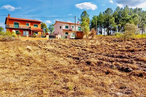 Helårsgrund i Tomar, Santarem, Tomar - € 18.000 | Ref: VCP064/23 - foto 4